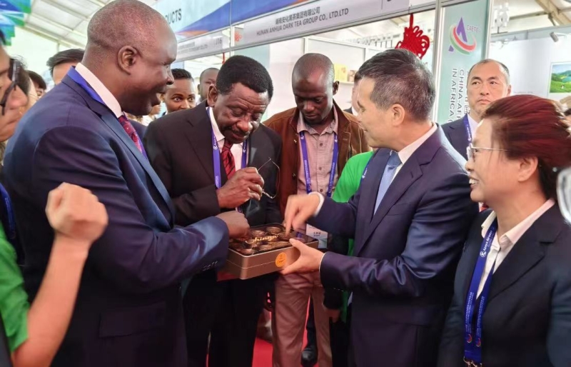 益阳黑茶香飘非洲 2024中非经贸博览会上的经贸桥梁